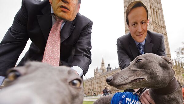 Men wear masks showing the faces of Gordon Brown (L) and David Cameron (R), as they pose with greyhounds during a photocall on April 26, 2010. - Sputnik International