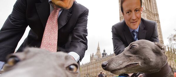 Men wear masks showing the faces of Gordon Brown (L) and David Cameron (R), as they pose with greyhounds during a photocall on April 26, 2010. Men wear masks showing the faces of Gordon Brown (L) and David Cameron (R), as they pose with greyhounds during a photocall on April 26, 2010. - Sputnik International