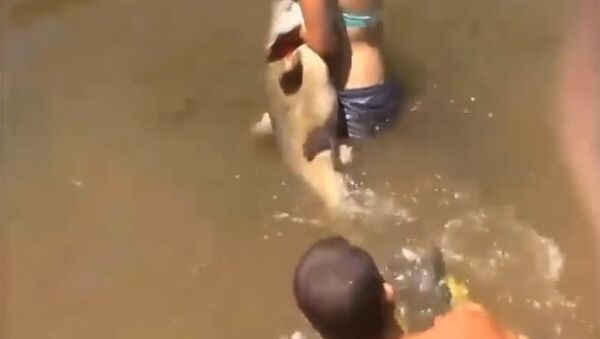 Girl Catches Fish With Bare Hands - Sputnik International