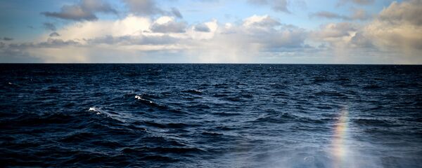 The Barents Sea. The Barents Sea. - Sputnik International