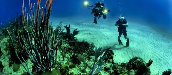 Ocean floor - Sputnik International