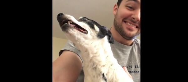 Maggie Sneezing Maggie Sneezing - Sputnik International