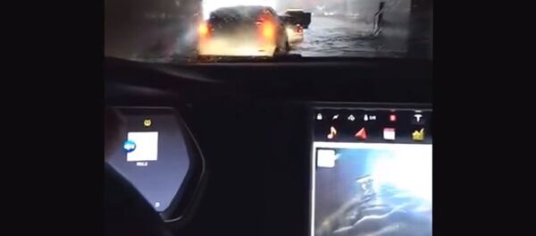 Tesla Model S swimming Tesla Model S swimming - Sputnik International