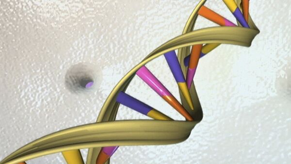 A DNA double helix is seen in an undated artist's illustration released by the National Human Genome Research Institute to Reuters on May 15, 2012 - Sputnik International