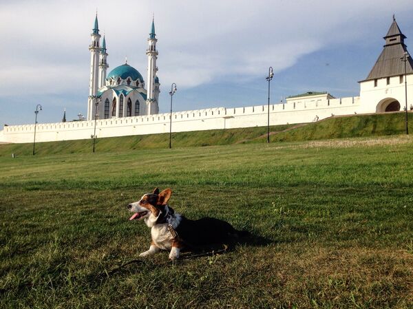 Pastushok on the background Kazan Kremlin - Sputnik International