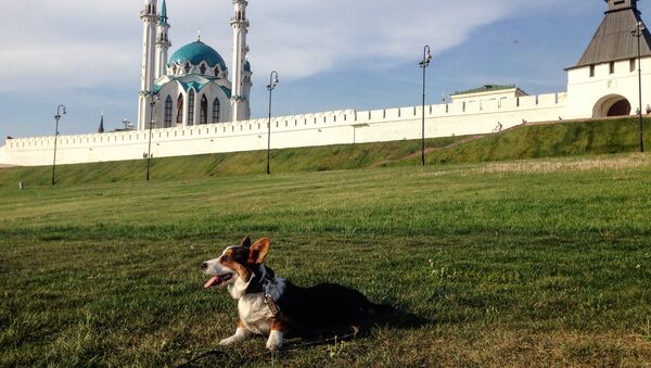 Pastushok on the background Kazan Kremlin - Sputnik International