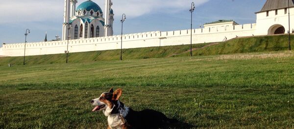Pastushok on the background Kazan Kremlin Pastushok on the background Kazan Kremlin - Sputnik International