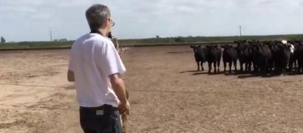 saxofonista saxofonista - Sputnik International