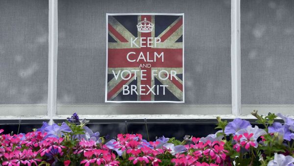 Vote leave posters are seen in a window in Chelsea, London, Britain, June 23, 2016. - Sputnik International