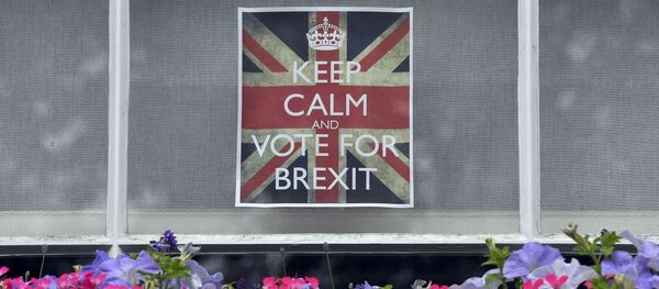 Vote leave posters are seen in a window in Chelsea, London, Britain, June 23, 2016. - Sputnik International
