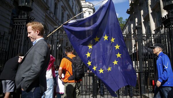 A man carries a EU flag, after Britain voted to leave the European Union, outside Downing Street in London, Britain June 24, 2016 - Sputnik International