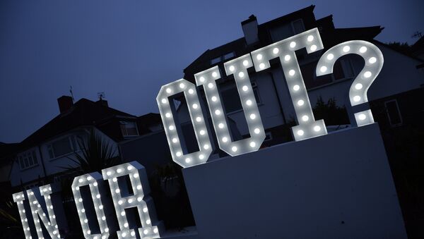 An illuminated In or Out sign is pictured outside a house in Hangleton near Brighton in southern England, on June 23, 2016, as Britain holds a referendum on whether to stay or leave the European Union (EU) - Sputnik International