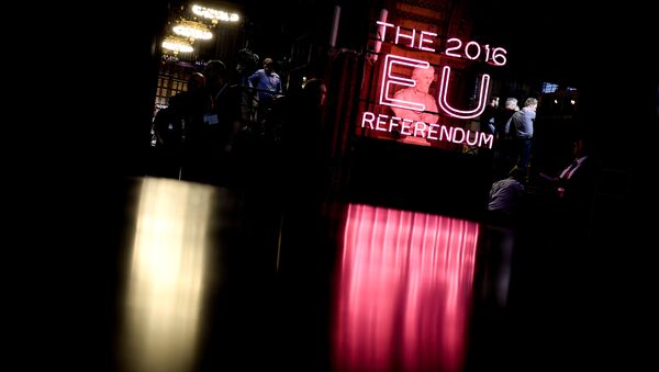 A bust in the Manchester Town Hall during the counting of votes of Britain's referendum on whether to leave the European Union - Sputnik International