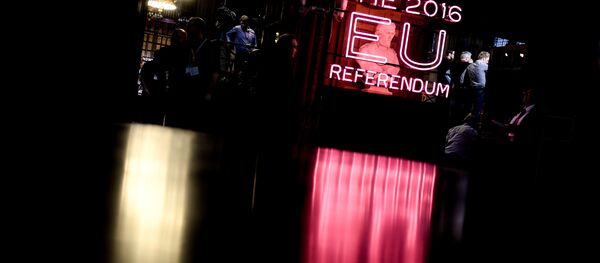 A bust in the Manchester Town Hall during the counting of votes of Britain's referendum on whether to leave the European Union - Sputnik International