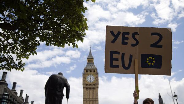 A demonstrator holds a placard during a protest against the outcome of the UK's June 23 referendum on the European Union (EU), in central London on June 25, 2016. - Sputnik International