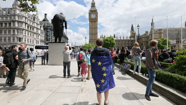 A demonstrator wrapped in the EU flag takes part in a protest opposing Britain's exit from the European Union in Parliament Square following yesterday's EU referendum result, London, Saturday, June 25, 2016 - Sputnik International