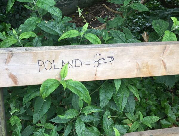 Post-Brexit anti-Polish explicit graffiti in South London. - Sputnik International