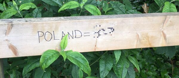 Post-Brexit anti-Polish explicit graffiti in South London. - Sputnik International