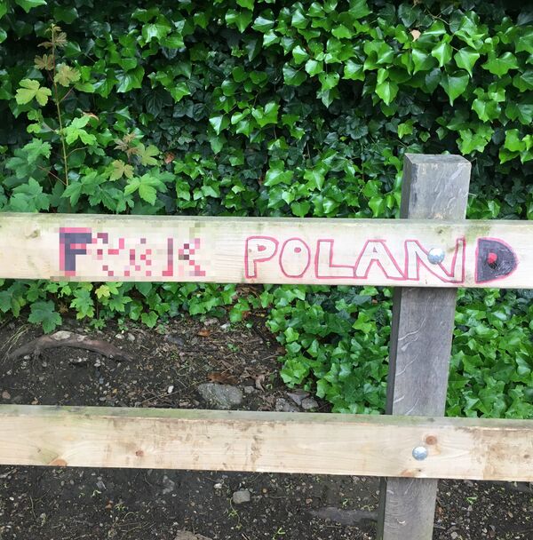 Anti-Polish immigrant graffiti in South London Anti-Polish immigrant graffiti in South London - Sputnik International