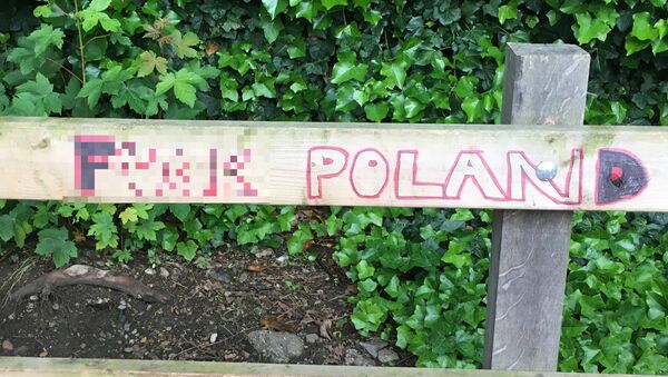Anti-Polish immigrant graffiti in South London - Sputnik International