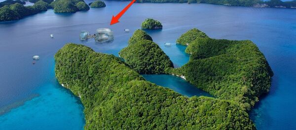 Driftscape Hotel - Sputnik International