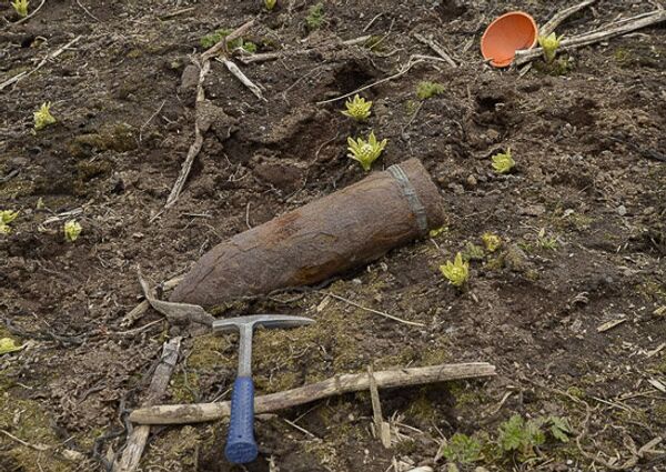 Matua Island - Sputnik International