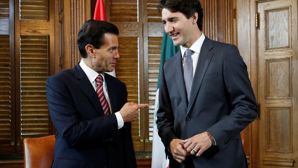 Canada's Prime Minister Justin Trudeau (R) meets with Mexico's President Enrique Pena Nieto in Trudeau's office on Parliament Hill in Ottawa, Ontario, Canada, June 28, 2016 - Sputnik International