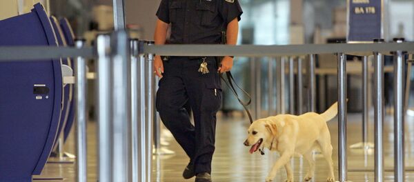 JFK Airport in New York - Sputnik International