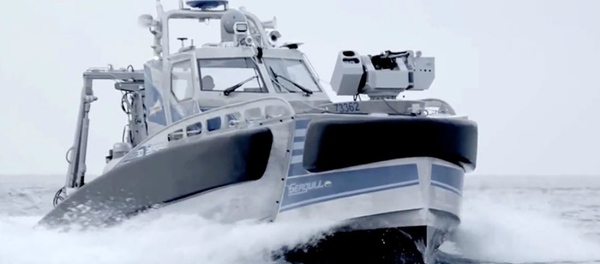 Israel's Seagull anti-submarine, mine-searching warship Israel's Seagull anti-submarine, mine-searching warship - Sputnik International