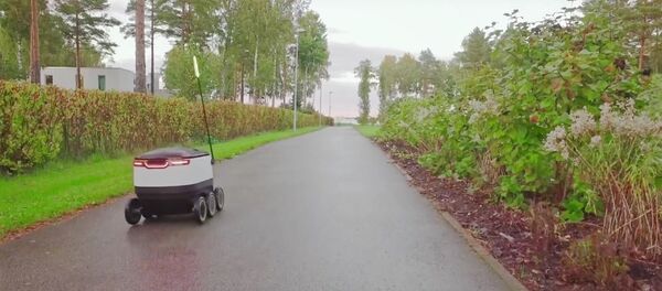 How does Starship robotic delivery work? - Sputnik International