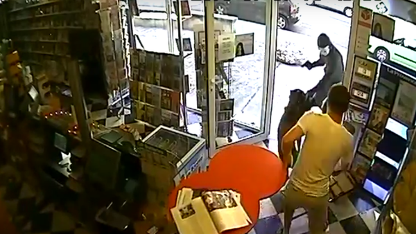 Dog Disarms Robber and Saves His Owner's Shop - Sputnik International