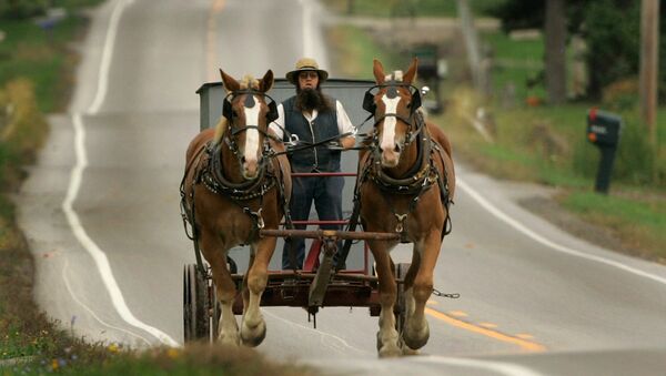 An Amish man drives his team of work horses down a road in Burton Township, Ohio - Sputnik International