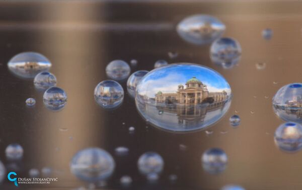See the Whole World in One Drop of Water - Sputnik International