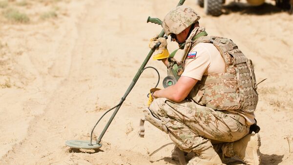 A Slovakian Army explosive ordinance disposal specialist performs a fine cleaning July 7, 2012, at Kandahar Air Field, Afghanistan. - Sputnik International