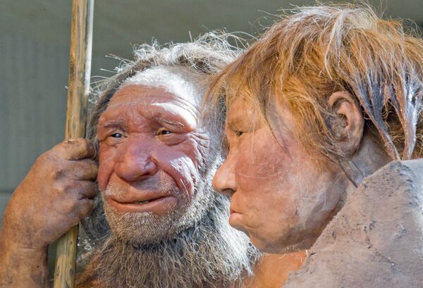The prehistoric Neanderthal man N, left, is visited for the first time by another reconstruction of a homo neanderthalensis called Wilma, right, at the Neanderthal museum in Mettmann, Germany, Friday, March 20, 2009 The prehistoric Neanderthal man N, left, is visited for the first time by another reconstruction of a homo neanderthalensis called Wilma, right, at the Neanderthal museum in Mettmann, Germany, Friday, March 20, 2009 - Sputnik International