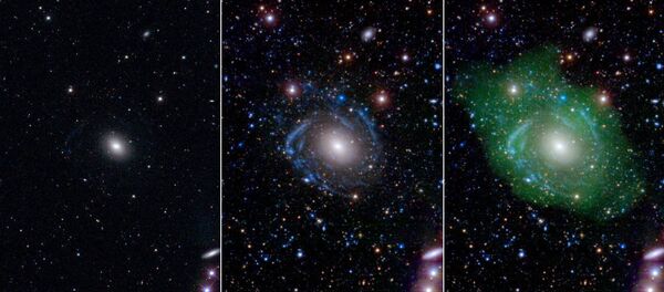At left, in optical light, UGC 1382 appears to be a simple elliptical galaxy. But spiral arms emerged when astronomers incorporated ultraviolet and deep optical data (middle). Combining that with a view of low-density hydrogen gas (shown in green at right), scientists discovered that UGC 1382 is gigantic. At left, in optical light, UGC 1382 appears to be a simple elliptical galaxy. But spiral arms emerged when astronomers incorporated ultraviolet and deep optical data (middle). Combining that with a view of low-density hydrogen gas (shown in green at right), scientists discovered that UGC 1382 is gigantic. - Sputnik International