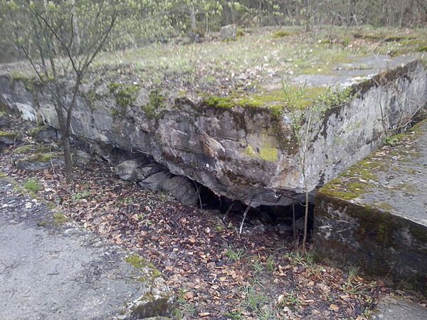 The moss-covered ruins of a German World War II bunker in northeastern Poland that may be hiding Russia’s precious Amber Room. file photo The moss-covered ruins of a German World War II bunker in northeastern Poland that may be hiding Russia’s precious Amber Room. file photo - Sputnik International
