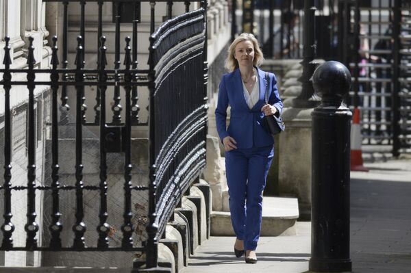 Meet Britain's New Government: A Look Into Boris Johnson's Cabinet Meet Britain's New Government: A Look Into Boris Johnson's Cabinet - Sputnik International