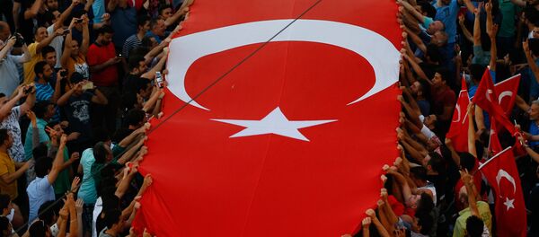 People gather at a pro-government rally in central Istanbul's Taksim square, Saturday, July 16, 2016. - Sputnik International