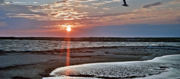 Swan Islands wildfowl nature reserve Swan Islands wildfowl nature reserve - Sputnik International