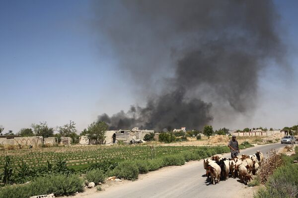 A young Syrian shepherd leads his flock on June 14, 2016 as smoke billows from a farm following a reported airstrike in Sheifuniya, near the rebel-held town of Douma, east of the capital Damascus A young Syrian shepherd leads his flock on June 14, 2016 as smoke billows from a farm following a reported airstrike in Sheifuniya, near the rebel-held town of Douma, east of the capital Damascus - Sputnik International