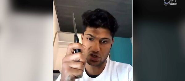 German Train Attacker German Train Attacker - Sputnik International