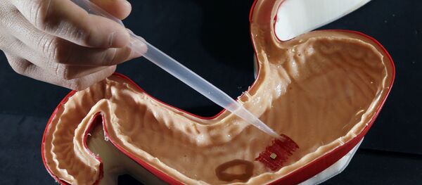 Origami Robot in silicone stomach Origami Robot in silicone stomach - Sputnik International