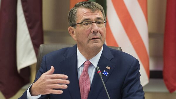 US Secretary of Defense Ashton Carter hosts defense ministers of the Global Coalition to Counter ISIL at Joint Base Andrews in Maryland, July 20, 2016 - Sputnik International
