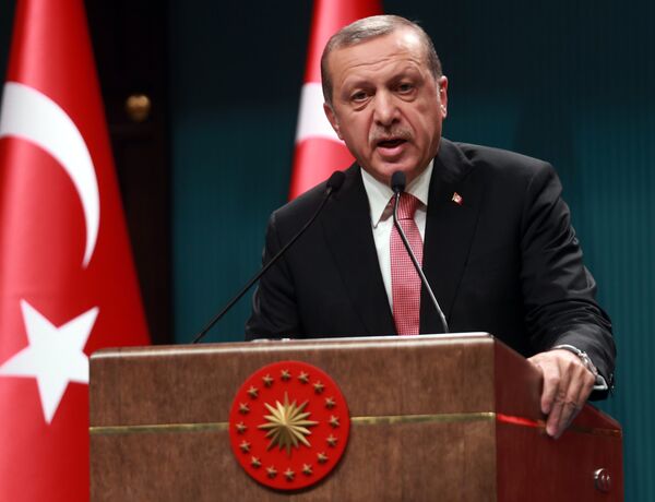 Turkish President Tayyip Erdogan speaks during a news conference following the National Security Council and cabinet meetings at the Presidential Palace in Ankara, Turkey, July 20, 2016 Turkish President Tayyip Erdogan speaks during a news conference following the National Security Council and cabinet meetings at the Presidential Palace in Ankara, Turkey, July 20, 2016 - Sputnik International