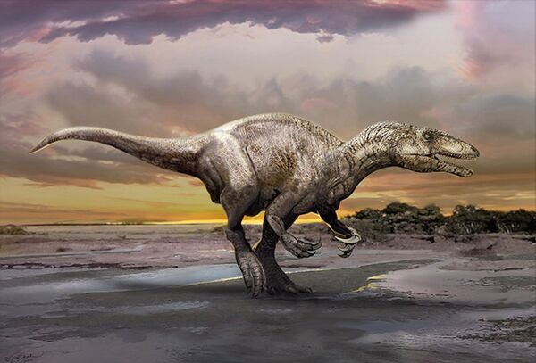 An artist's impression of a newly discovered dinosaur, Murusraptor barrosaensis. An artist's impression of a newly discovered dinosaur, Murusraptor barrosaensis. - Sputnik International