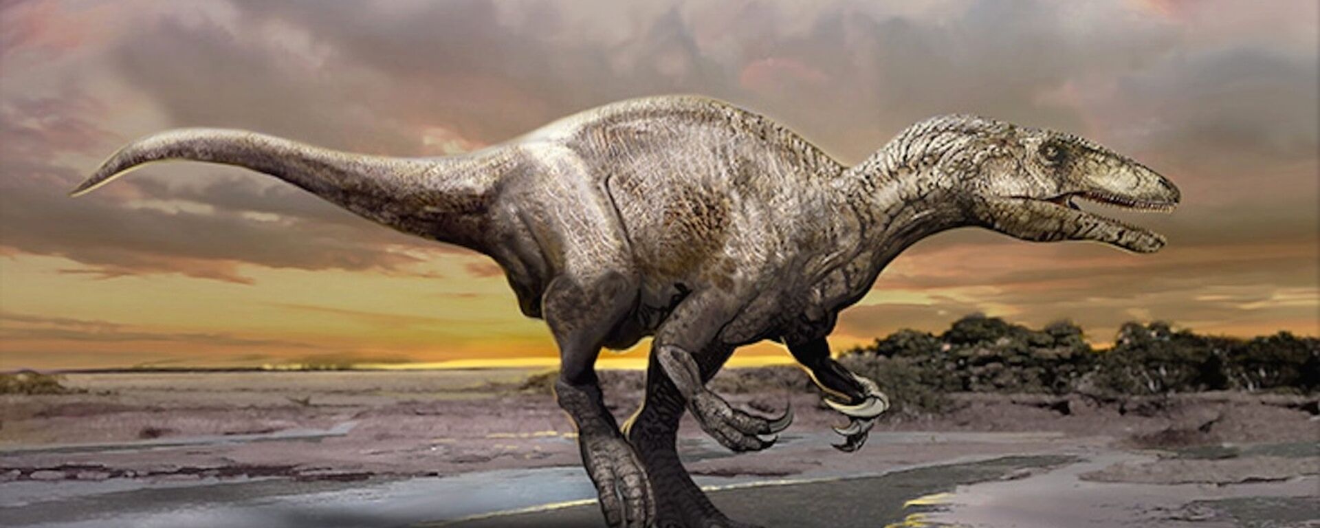 An artist's impression of a newly discovered dinosaur, Murusraptor barrosaensis. - Sputnik International, 1920, 02.09.2019