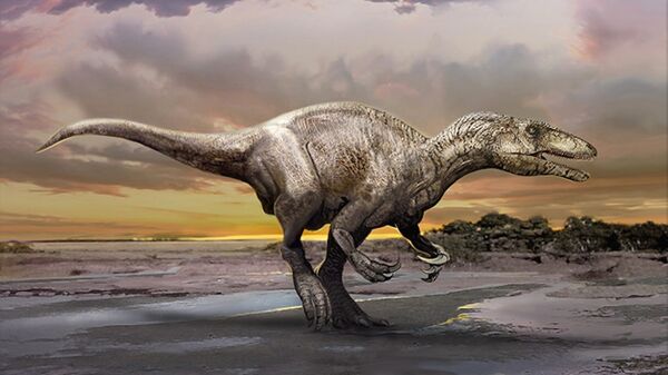 An artist's impression of a newly discovered dinosaur, Murusraptor barrosaensis. - Sputnik International