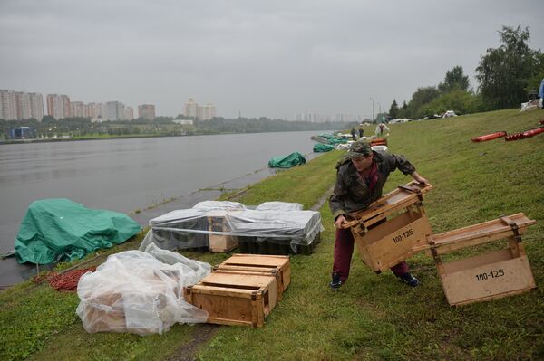 Fireworks Festival repetition Fireworks Festival repetition - Sputnik International