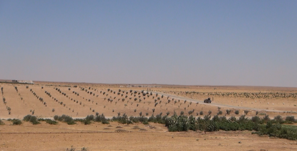 Syrian army Syrian army - Sputnik International